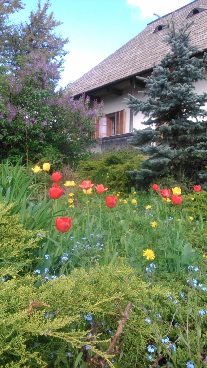 Property building, Spring, Garden
