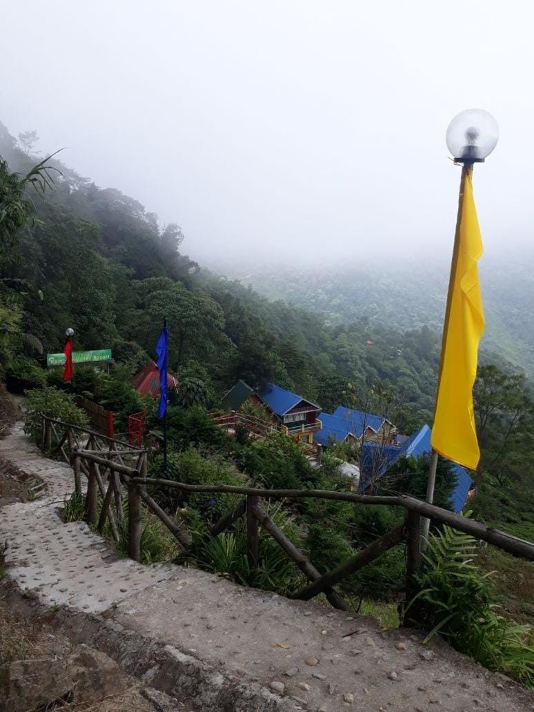 Natural landscape