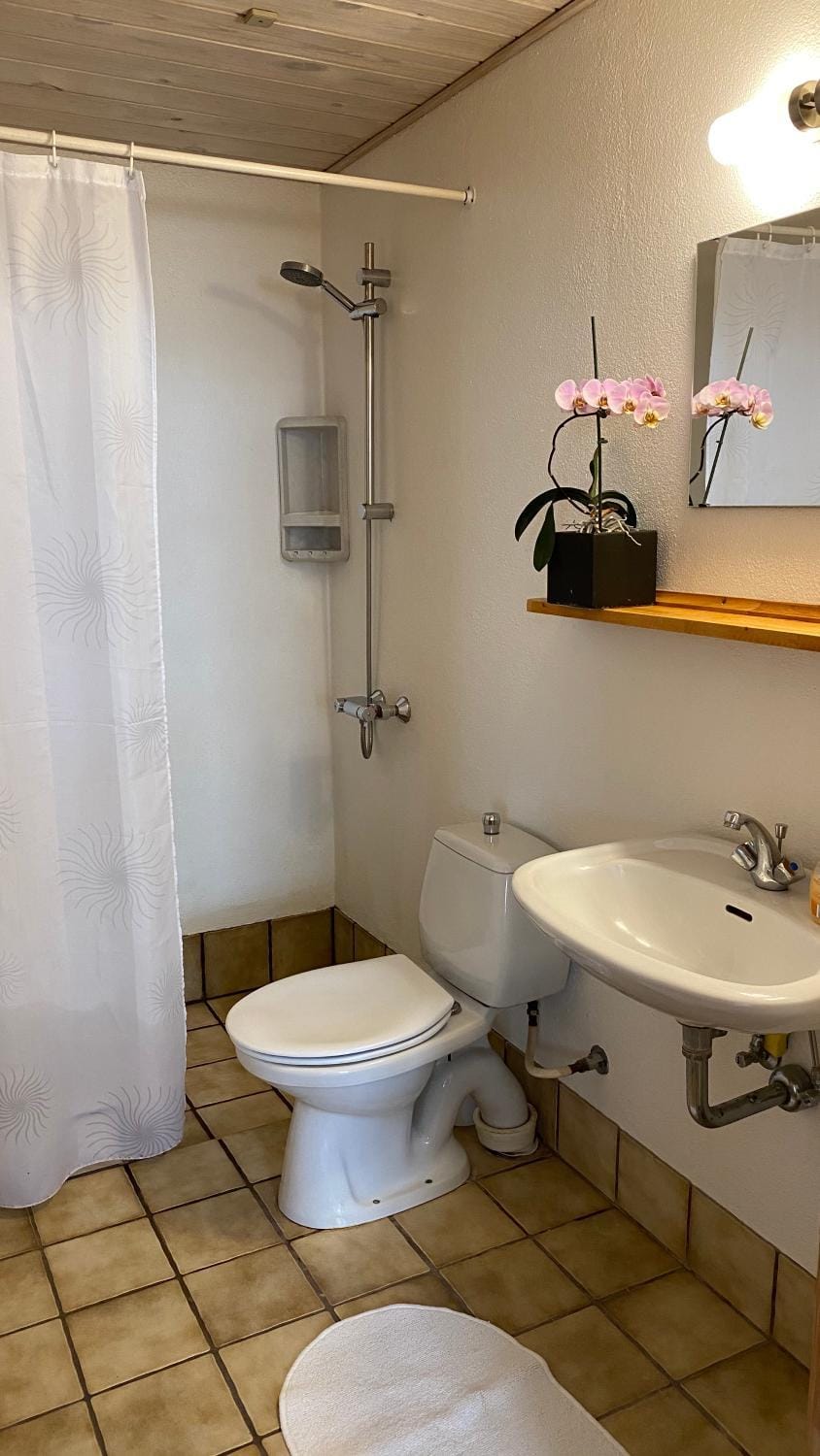 Toilet, Bathroom