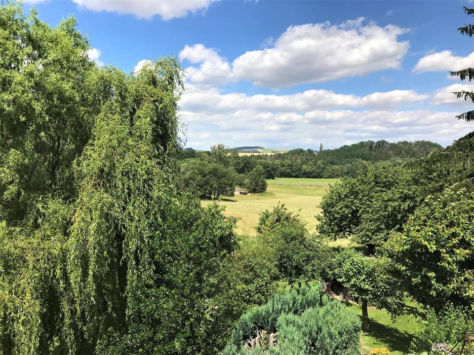 View (from property/room)