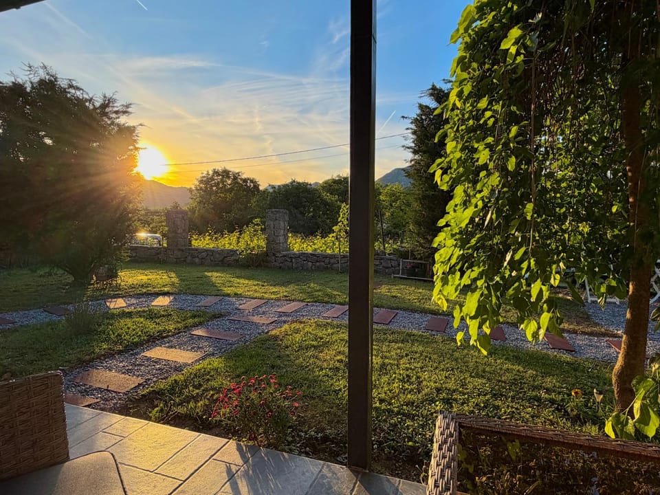 Natural landscape, Garden, Garden view, Sunset