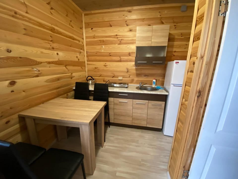 Kitchen or kitchenette, Dining area, stove