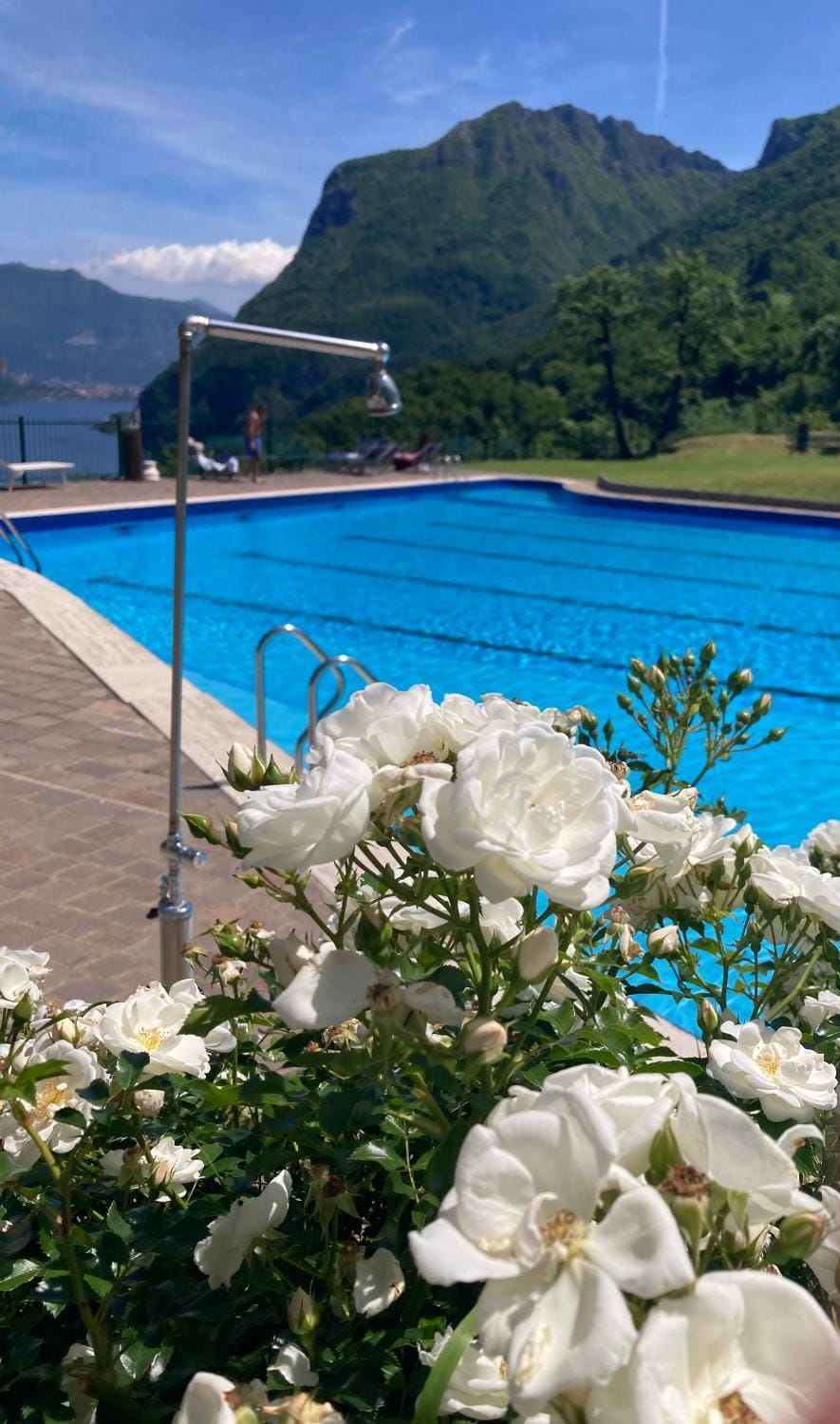 Swimming pool, sunbed