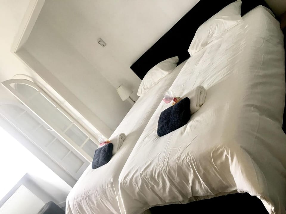 Maison Blanche Bed and Breakfast in Flanders