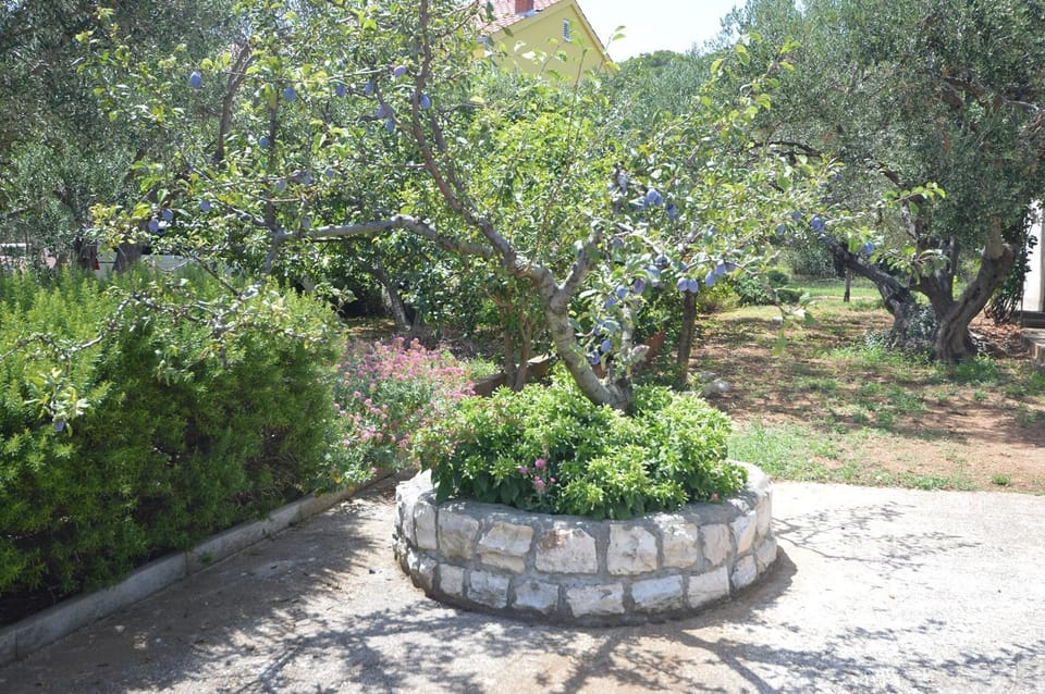 Vjera Apartment in Murter