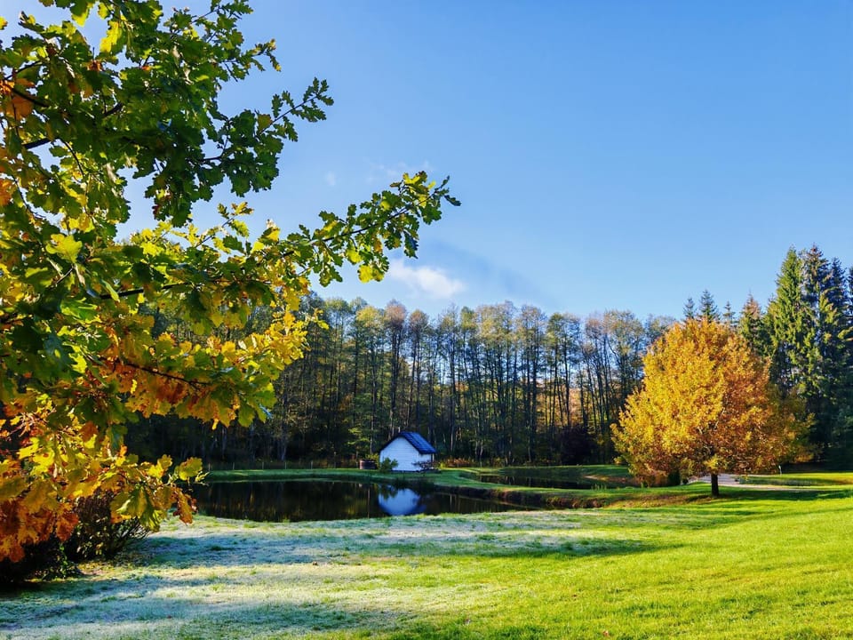 Lake view, Area and facilities