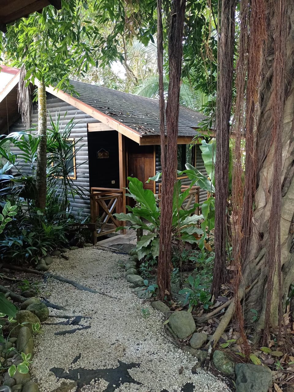 Casa el Colibrí Bed and Breakfast in Puntarenas Province