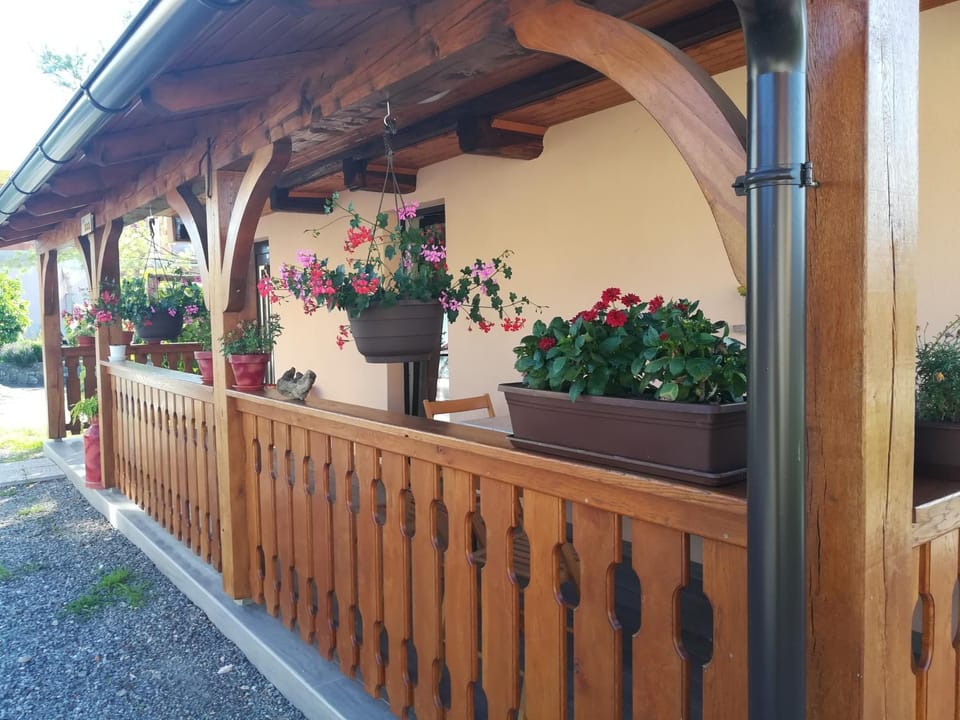 Apartma Škrilje Apartment in Slovenia