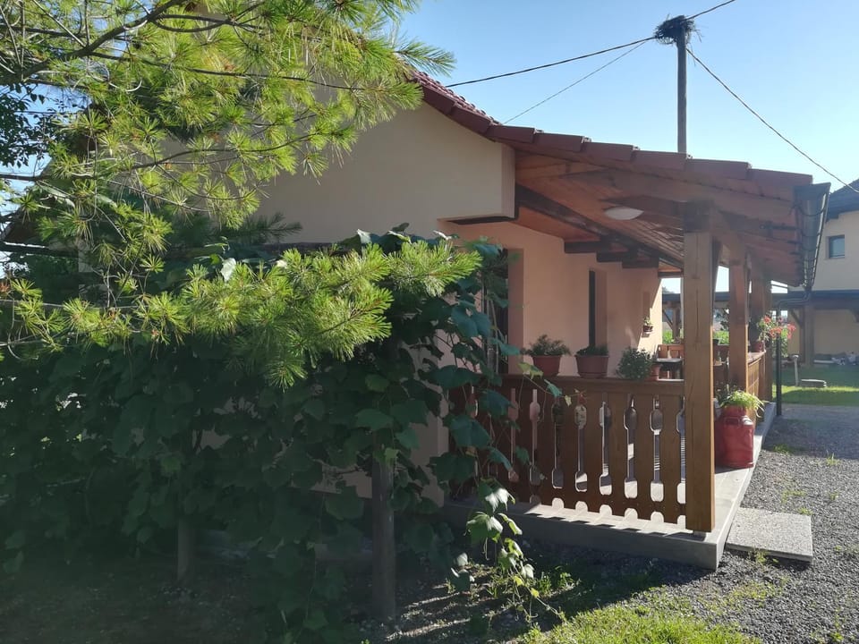 Apartma Škrilje Apartment in Slovenia