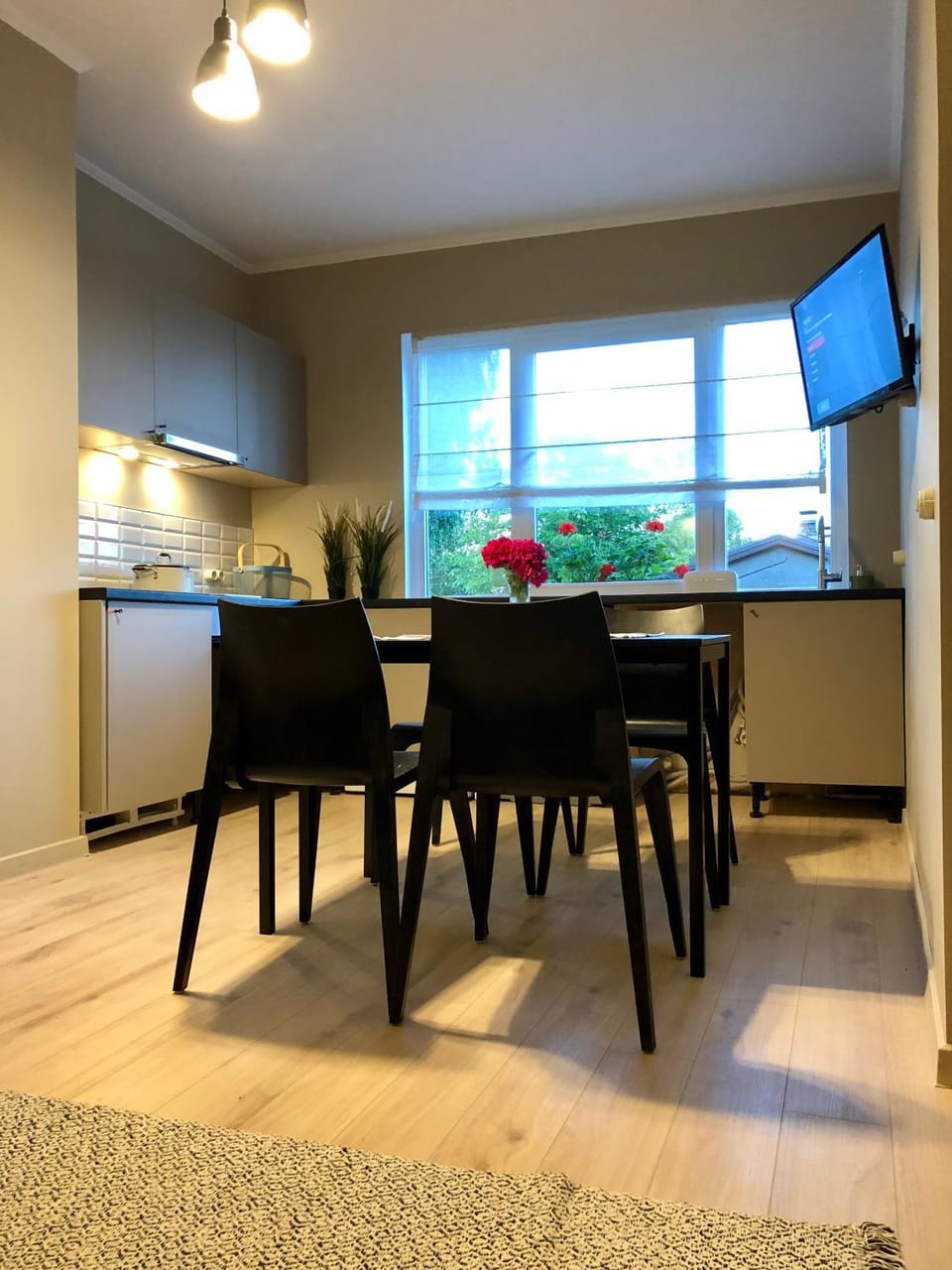 Medus Apartment in Latvia