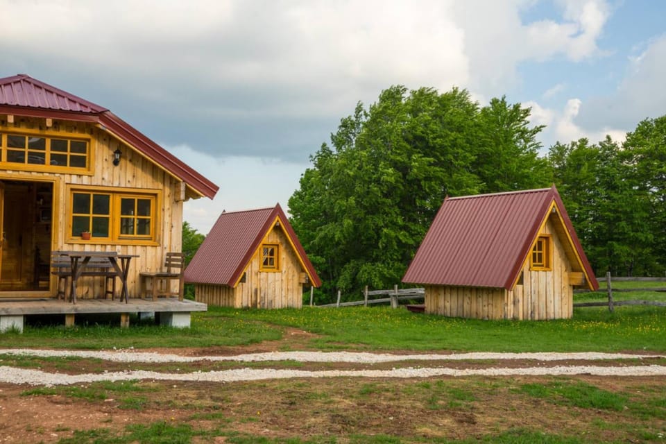 Property building, Spring, Natural landscape, Garden view