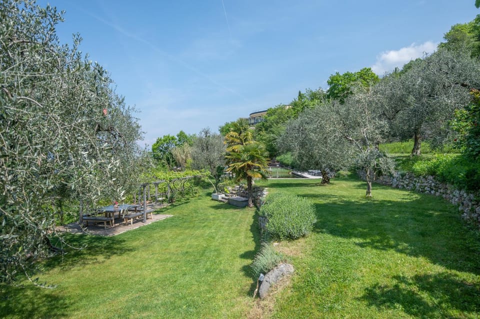 Natural landscape, Garden, Garden view