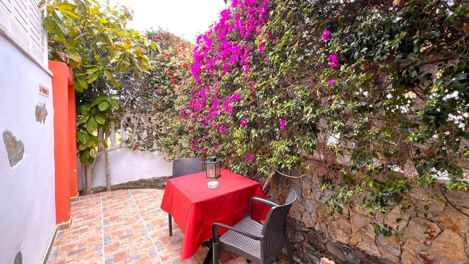 Patio, Garden