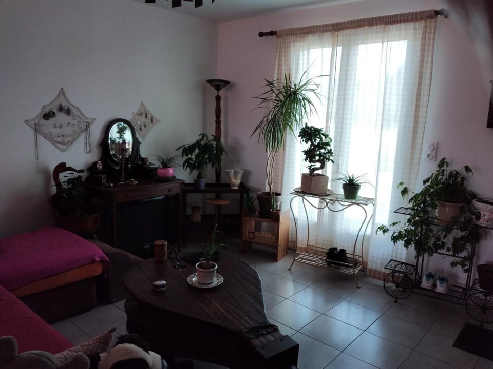 Chez Cathy Vacation rental in Saint-Julien-en-Born