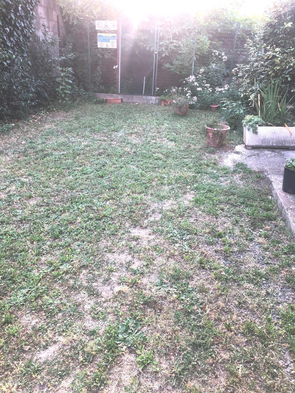 Garden view
