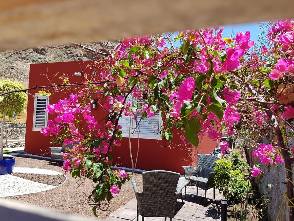 Property building, Garden, Garden view