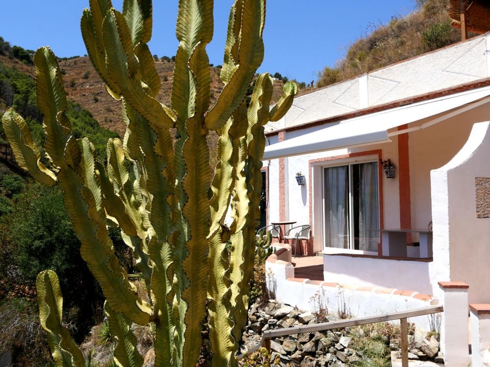 Cortijo el Abejaruco House in Costa Tropical