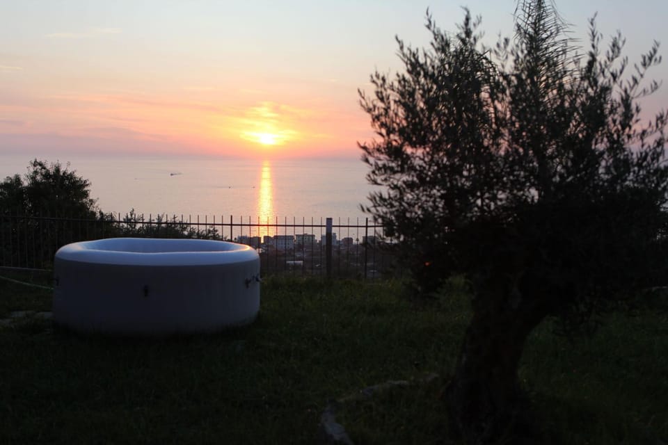 Garden, Swimming pool, Entertainment