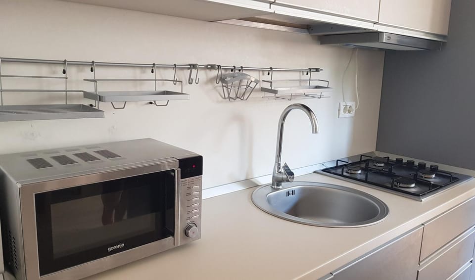 Kitchen or kitchenette, minibar, stove