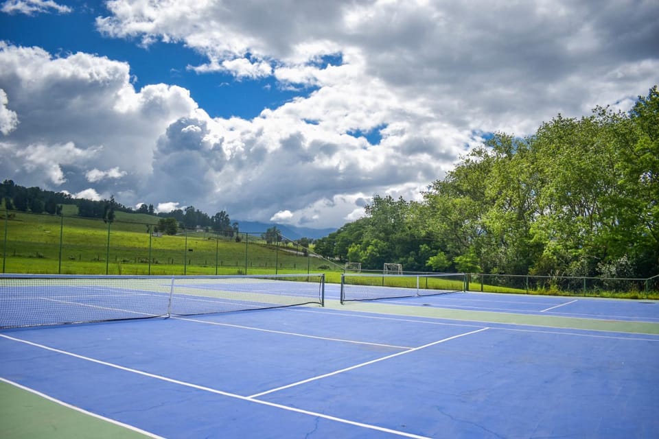 Tennis court