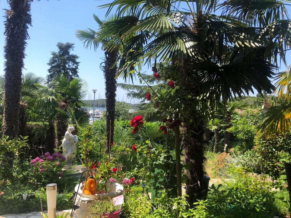 Garden view