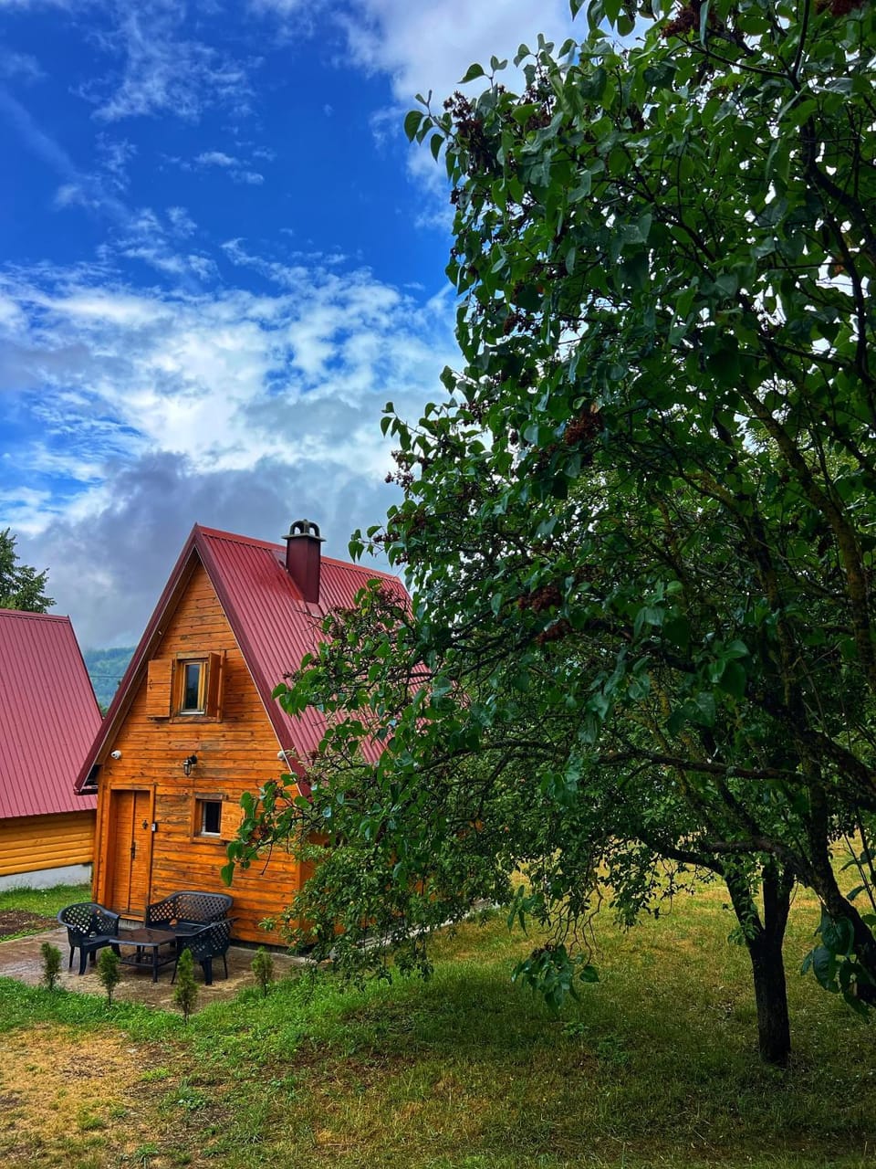 Property building, Spring, Day, Natural landscape, Garden, Garden view