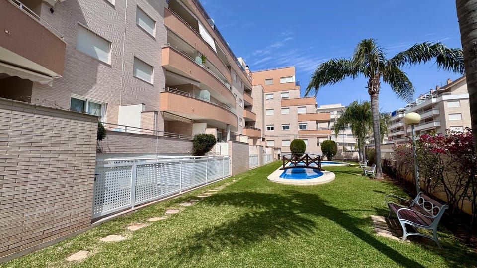Day, Garden, Swimming pool