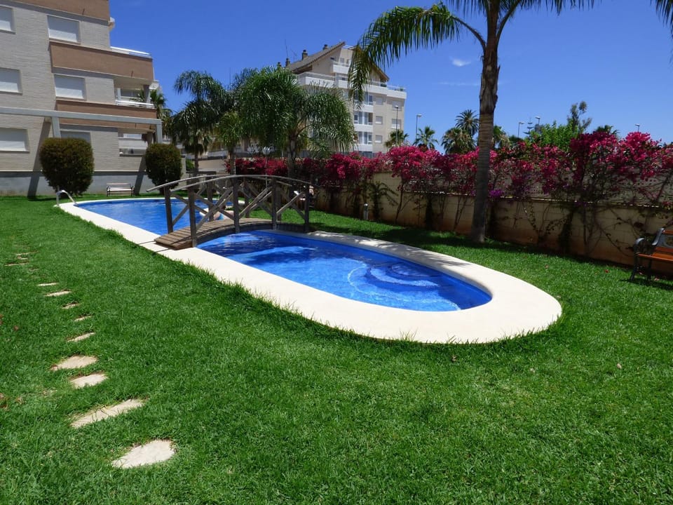 Garden, Pool view, Swimming pool