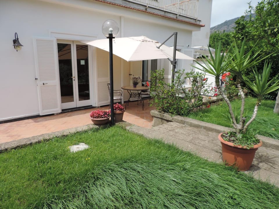 Patio, Facade/entrance, Garden, Balcony/Terrace, Dining area