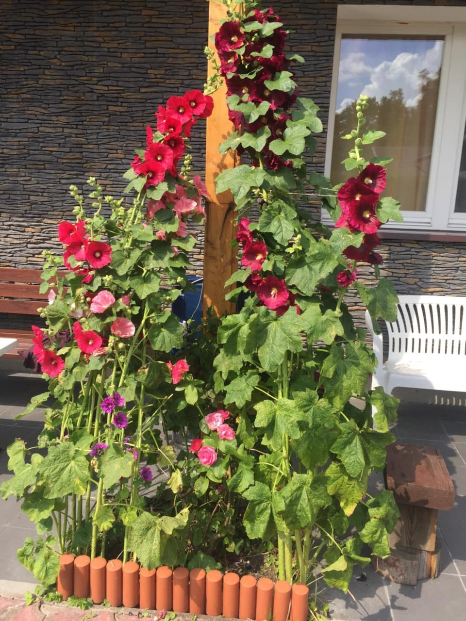 Property building, Garden