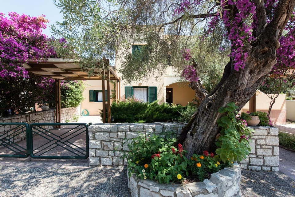 Property building, Patio, Facade/entrance, Garden