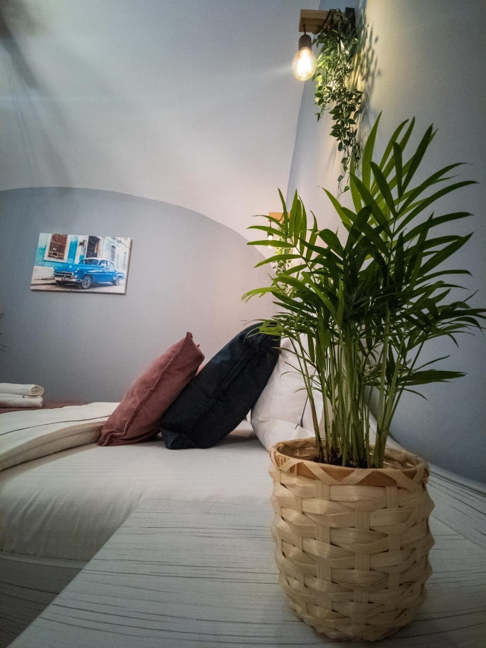 Havana Studio Apartment in Brasov