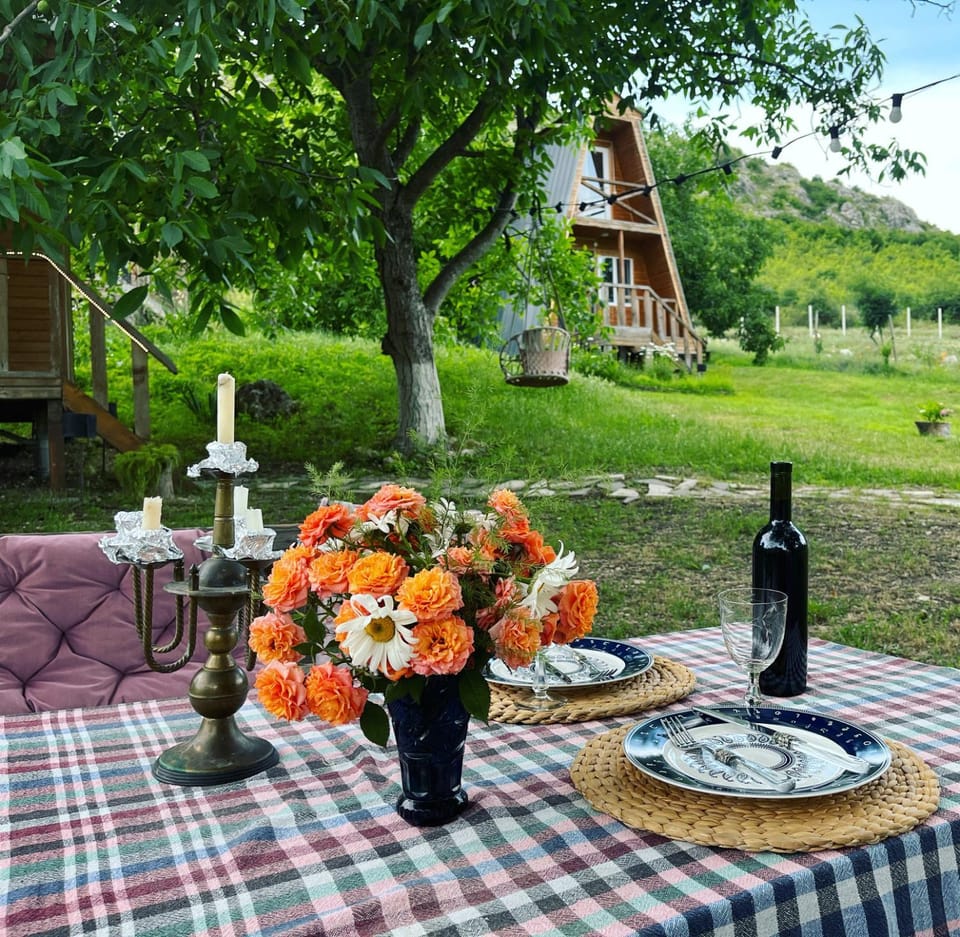 Teo's Cottages House in Georgia