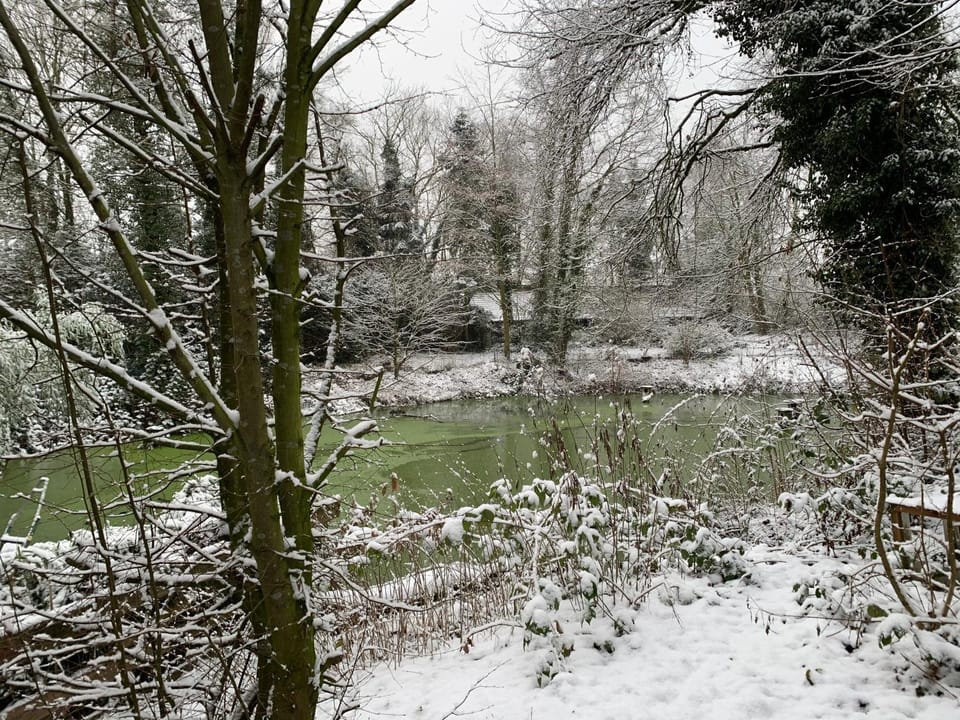 Winter
