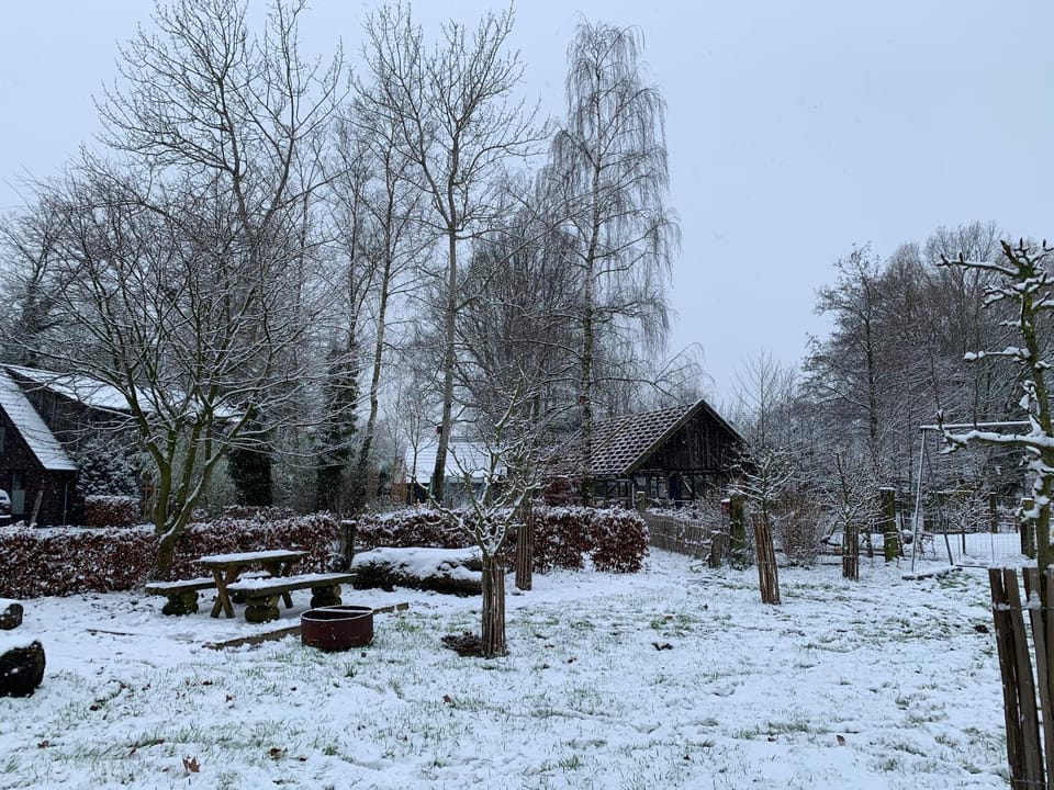 Winter, Garden