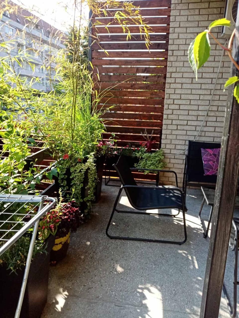 DUŠICA APARTMANI Apartment in Serbia