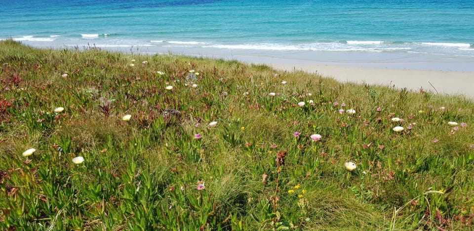 Natural landscape, Beach
