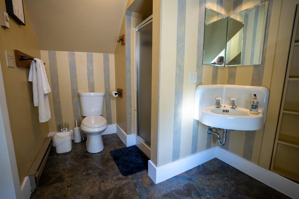 Shower, Toilet, Bathroom