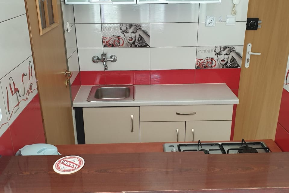 Apartament MINI CENTRUM Apartment in Szczecin