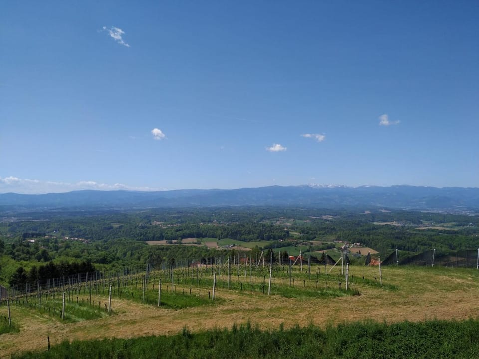 Spring, Day, Natural landscape, On site, Mountain view