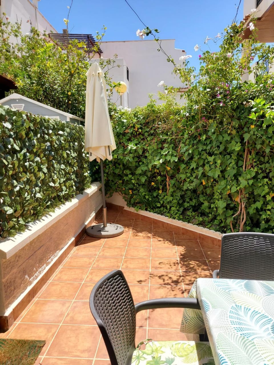 Patio, Balcony/Terrace