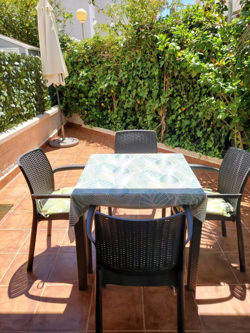 Patio, Balcony/Terrace