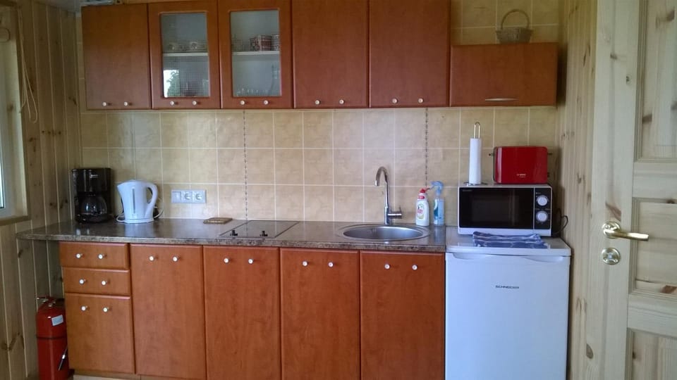 Coffee/tea facilities, Kitchen or kitchenette, minibar, stove, toaster