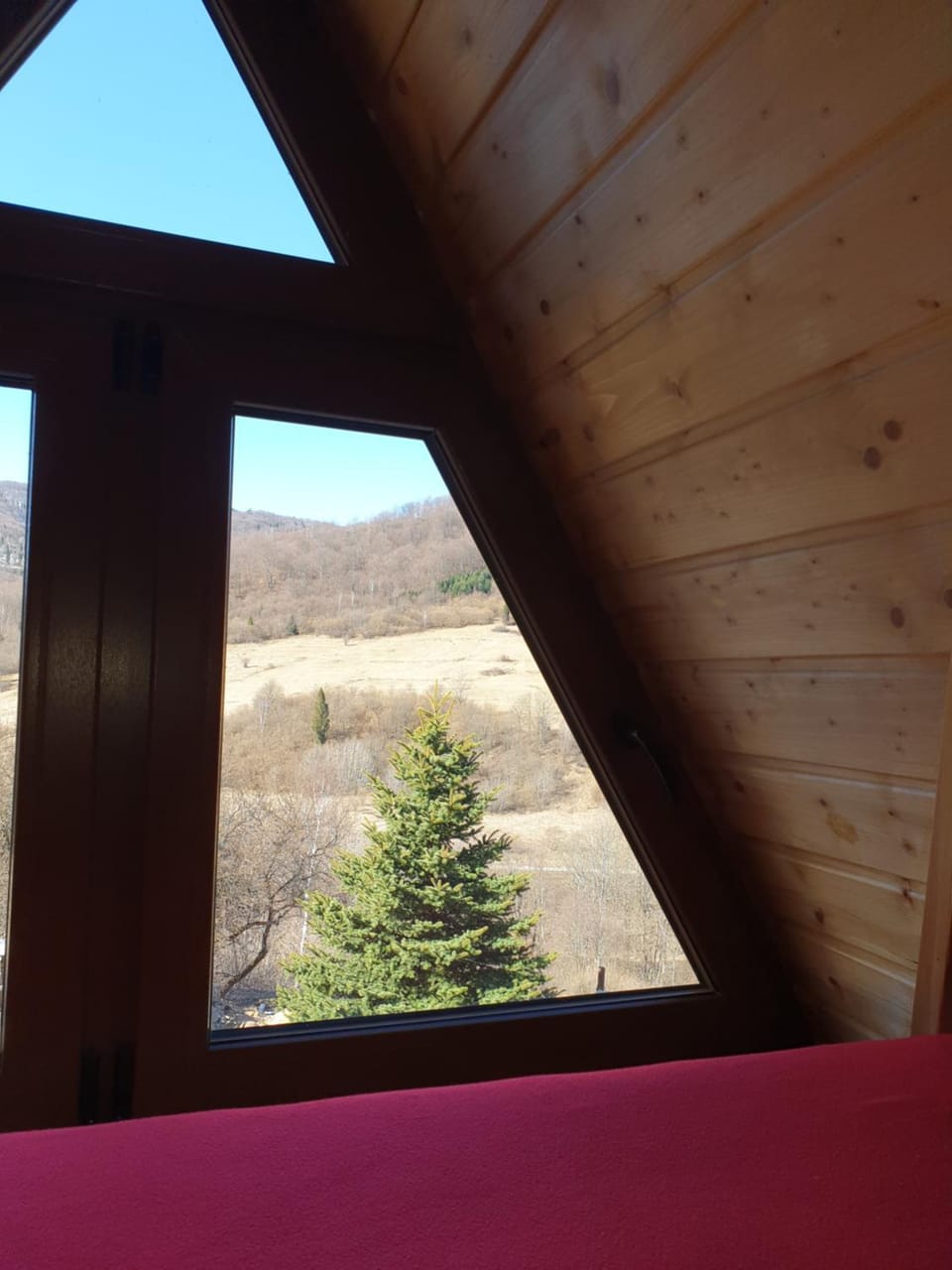 Mountain view