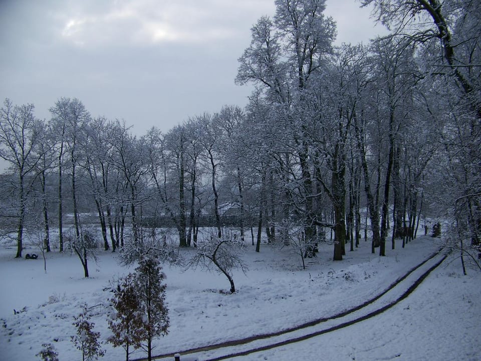 View (from property/room)
