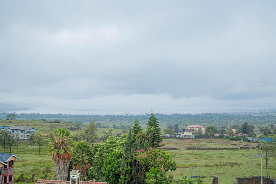 Lake view