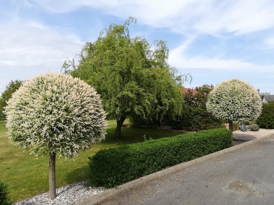 Landhaus List House in Styria