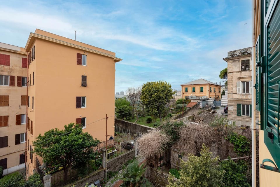 Day, Garden view