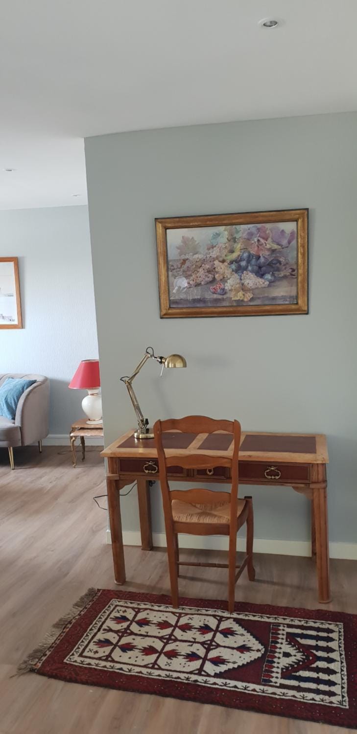 Gite Renaissance Apartment in Amboise