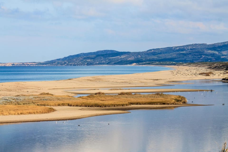 Il giardino degli ulivi Bed and Breakfast in Sardinia